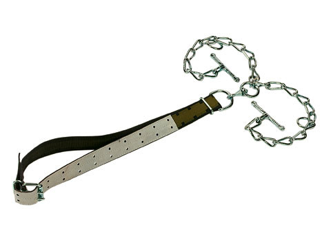 Jungbullen-Halsband 150 cm