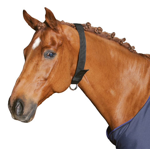 Halsriemen für Pferde